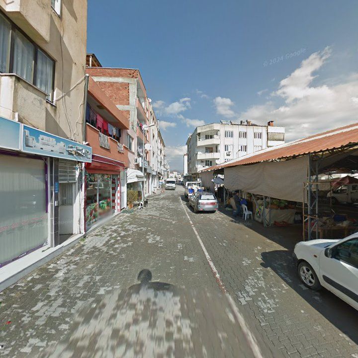Fotoğraf 8