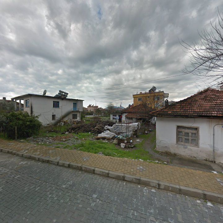 Fotoğraf 8