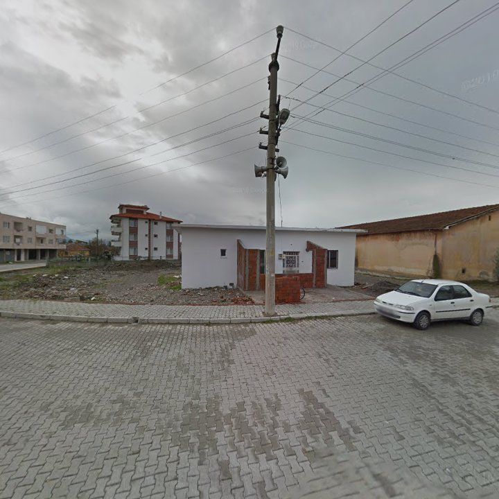 Fotoğraf 10