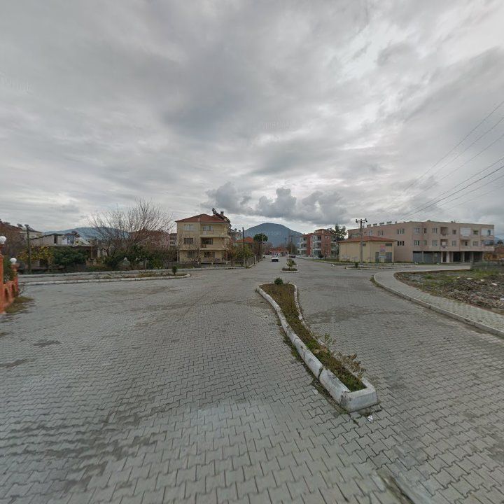 Fotoğraf 9