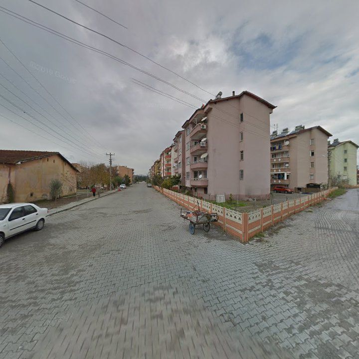 Fotoğraf 11