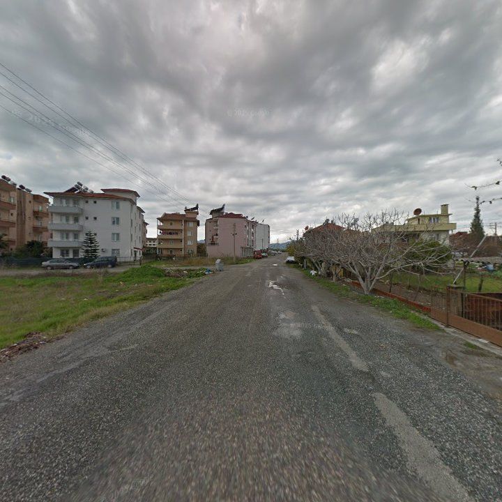 Fotoğraf 9
