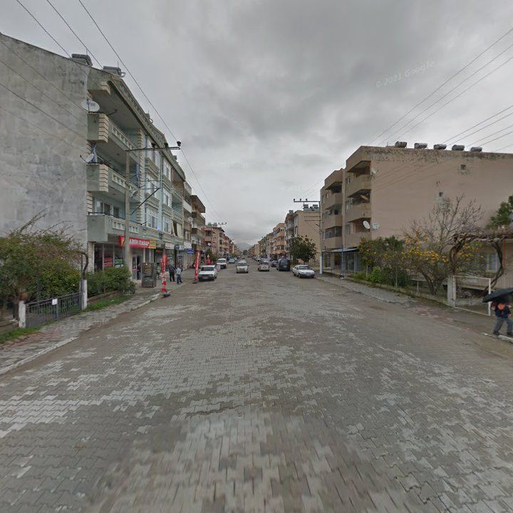 Fotoğraf 7