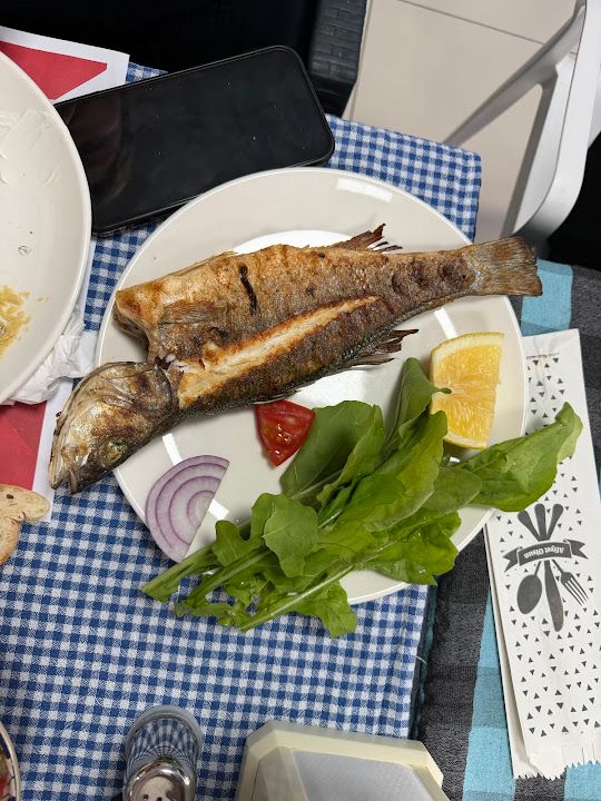 Fotoğraf 25