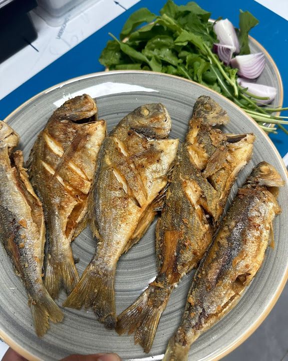 Fotoğraf 23