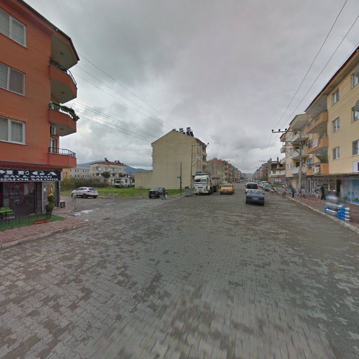 Fotoğraf 6
