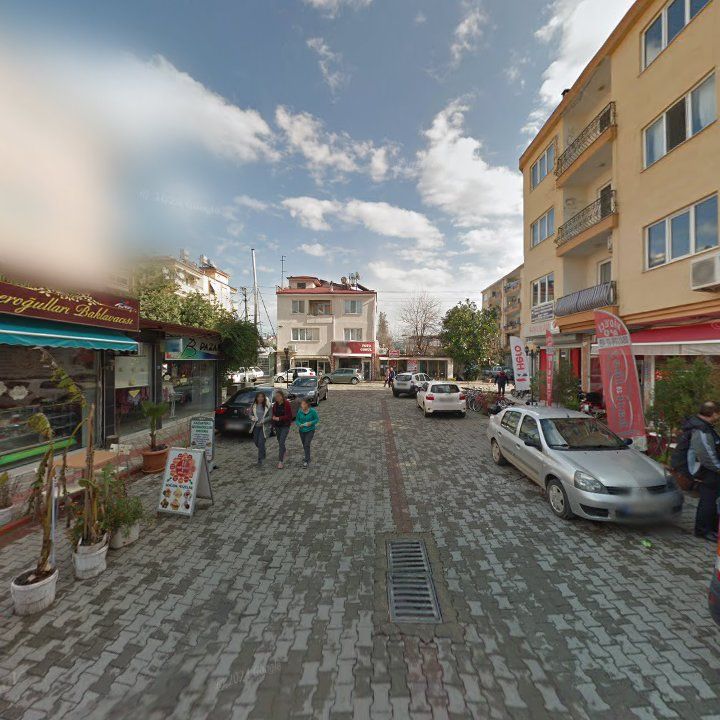 Fotoğraf 11