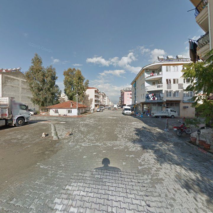 Fotoğraf 5