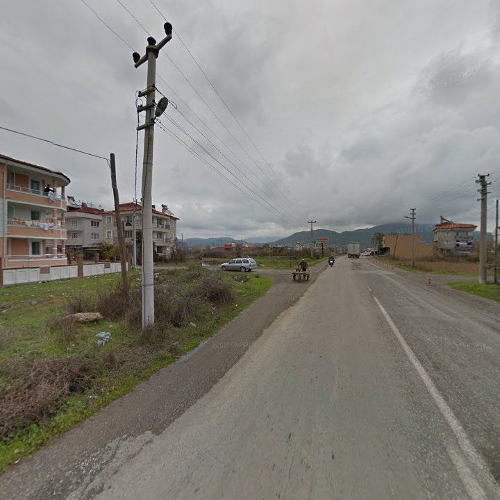 Fotoğraf 8