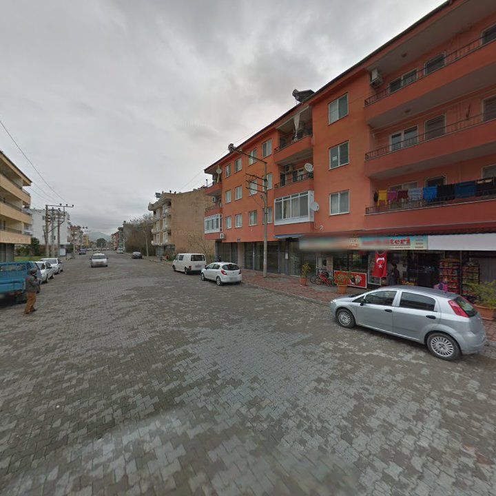 Fotoğraf 10