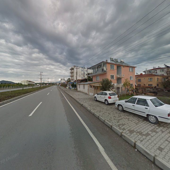 Fotoğraf 10