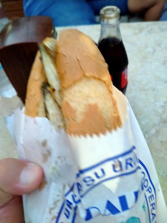 Fotoğraf 25
