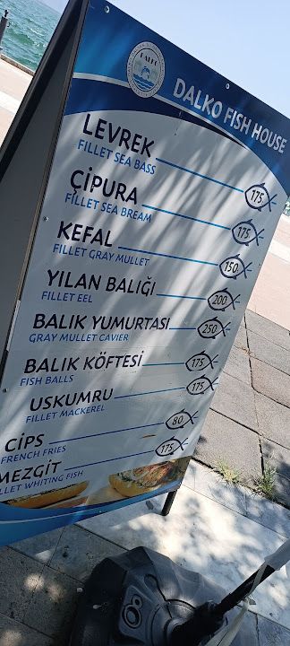 Fotoğraf 15