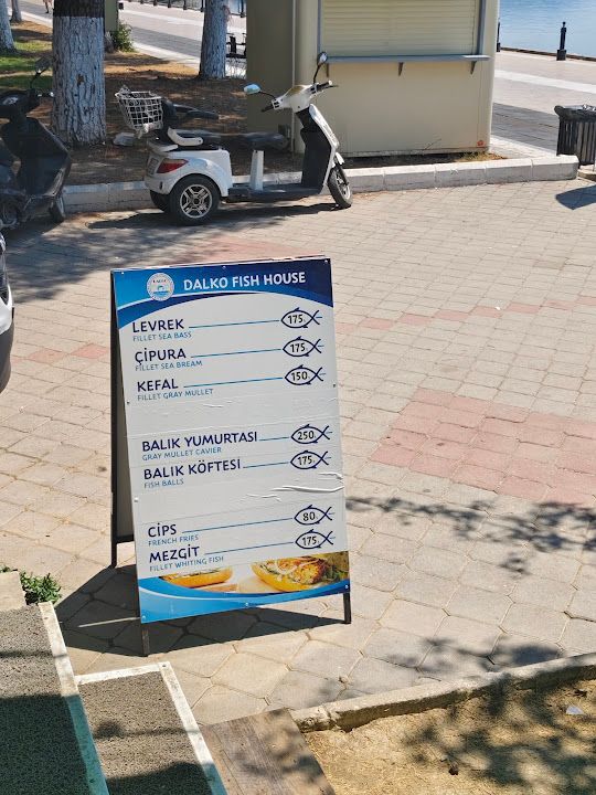 Fotoğraf 14