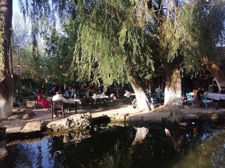 Yorum fotoğrafı 4
