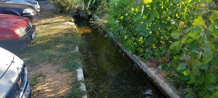 Yorum fotoğrafı 3