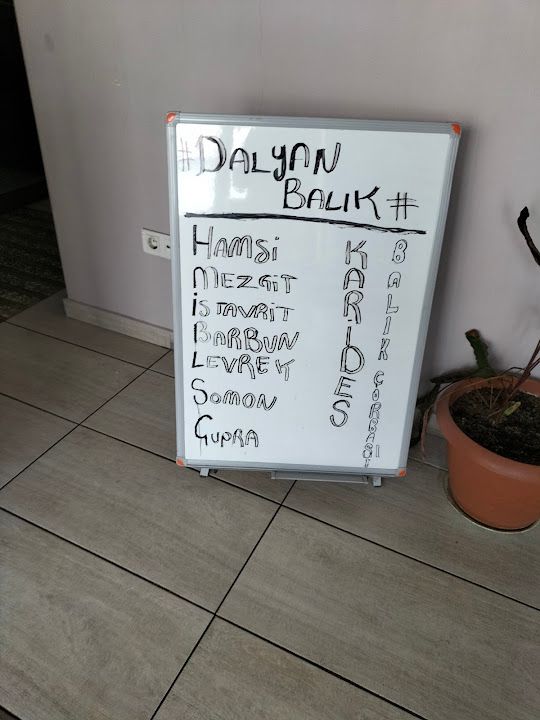 Fotoğraf 17