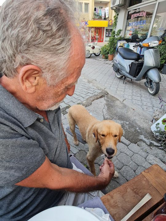 Yorum fotoğrafı 1