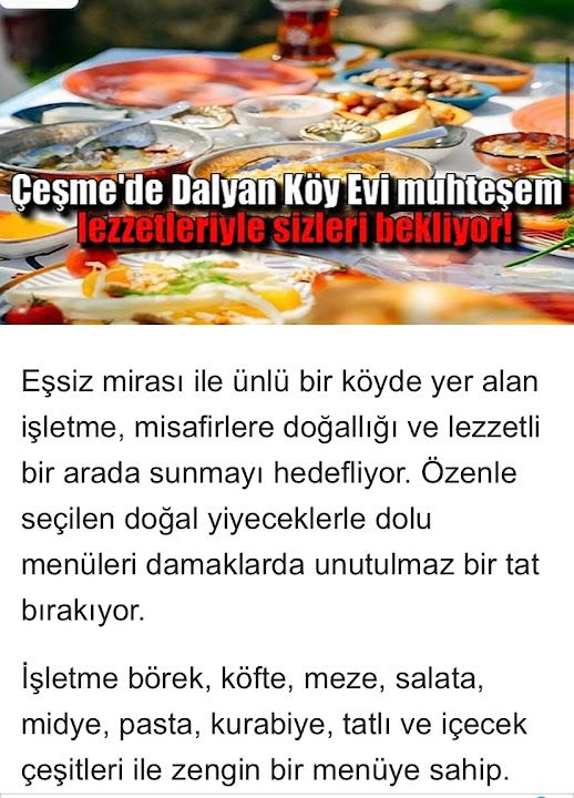 Fotoğraf 14
