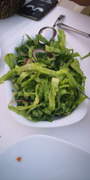Fotoğraf 14