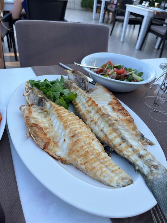 Fotoğraf 20