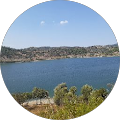 Damla Nur Aydın