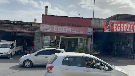Fotoğraf 13