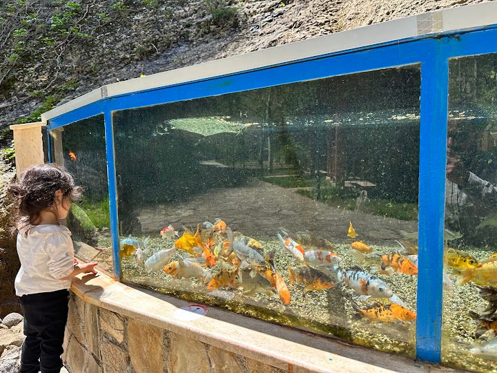 Şuğul Restorant