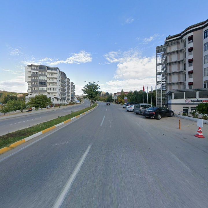 Fotoğraf 11