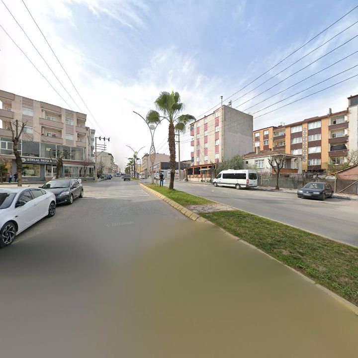 Fotoğraf 7