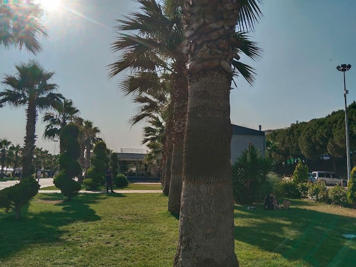 Fotoğraf 34