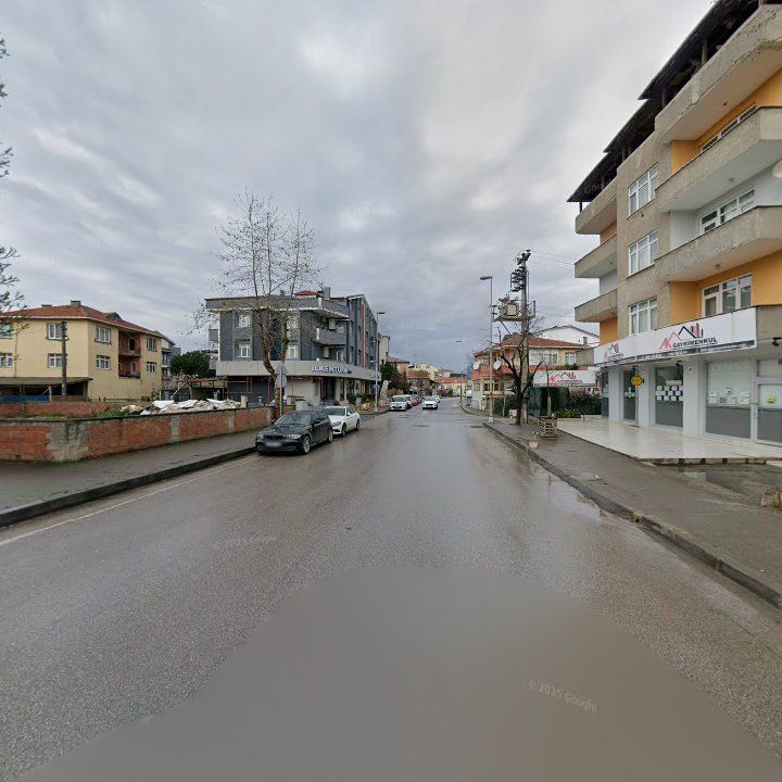 Fotoğraf 11