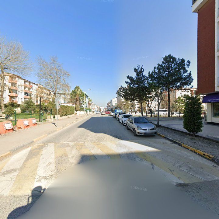 Fotoğraf 11
