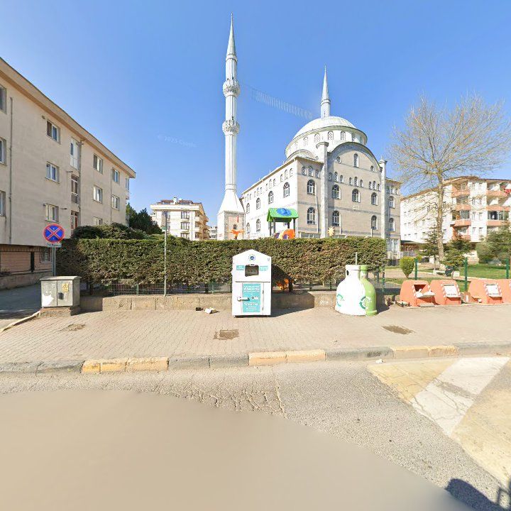 Fotoğraf 10