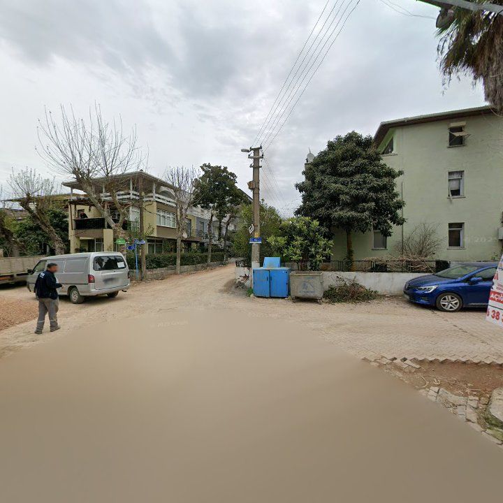 Fotoğraf 8