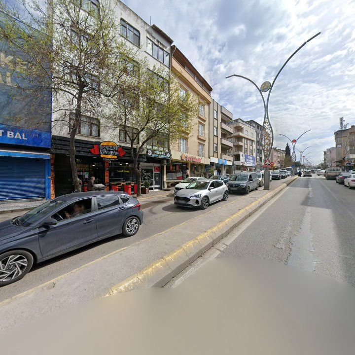 Fotoğraf 10