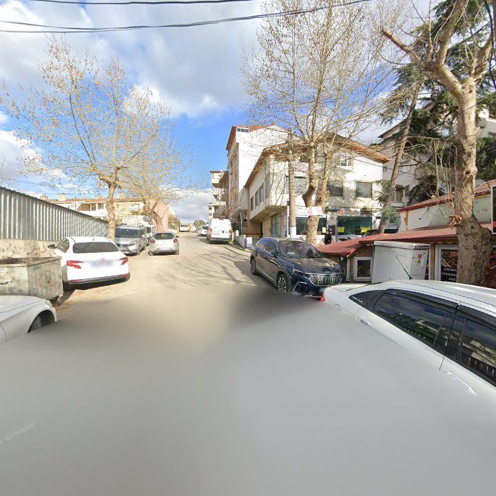 Fotoğraf 11