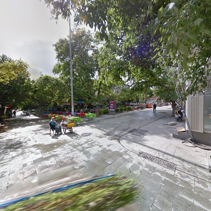 Fotoğraf 8