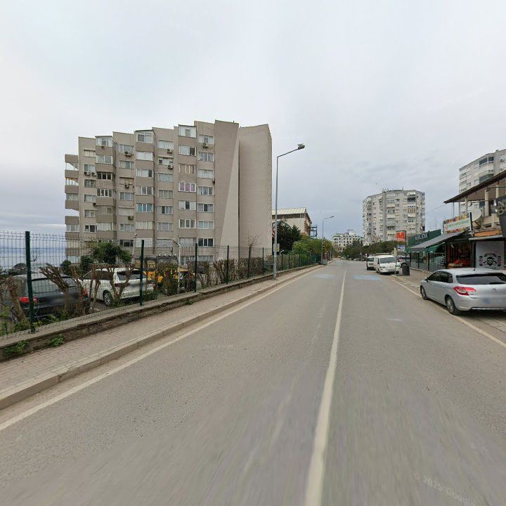 Fotoğraf 10