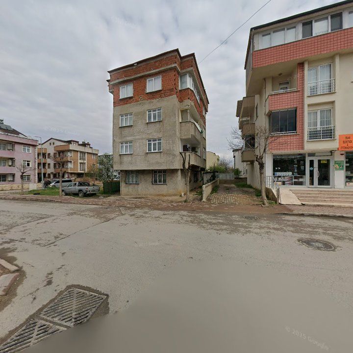 Fotoğraf 3