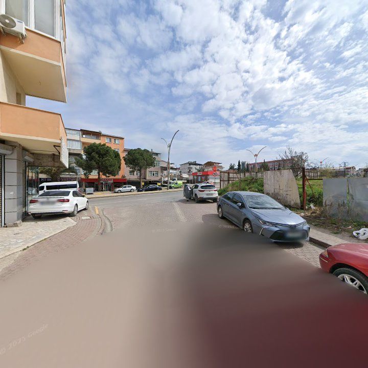 Fotoğraf 6