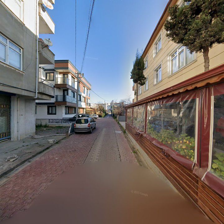 Fotoğraf 10