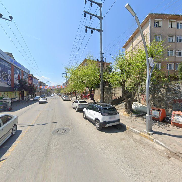 Fotoğraf 11