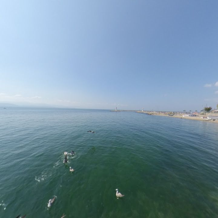 Fotoğraf 12