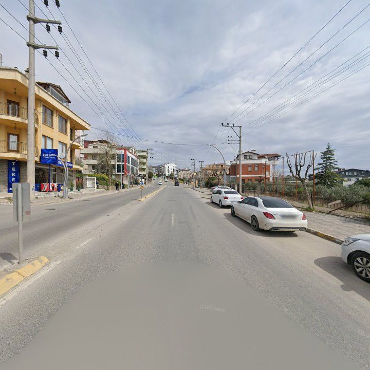 Fotoğraf 11