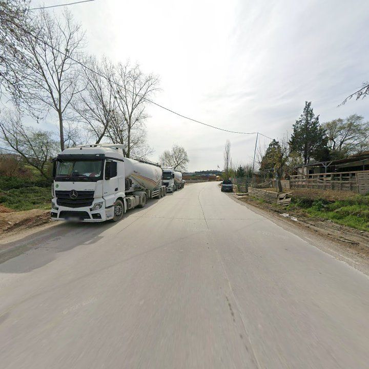 Fotoğraf 10