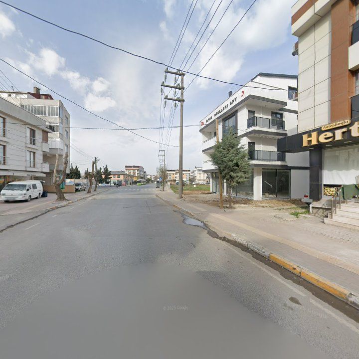 Fotoğraf 10