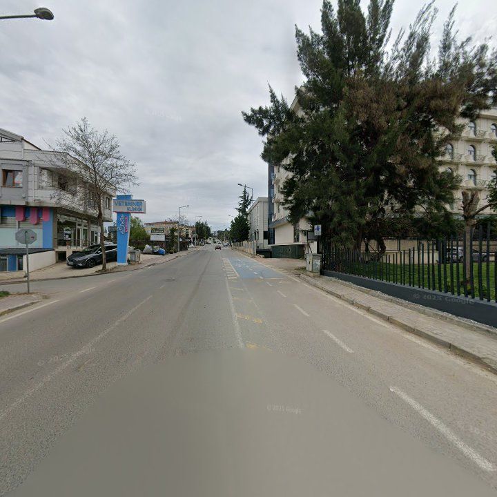 Fotoğraf 11