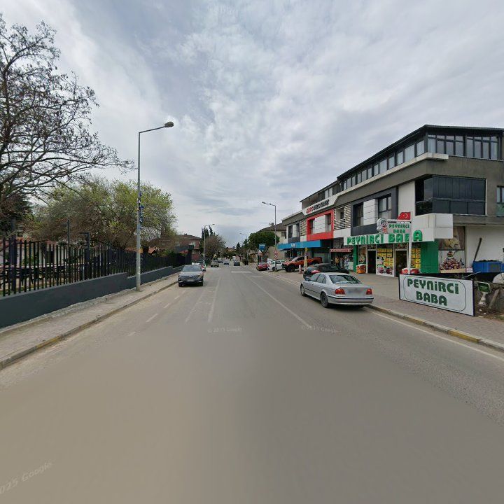 Fotoğraf 9