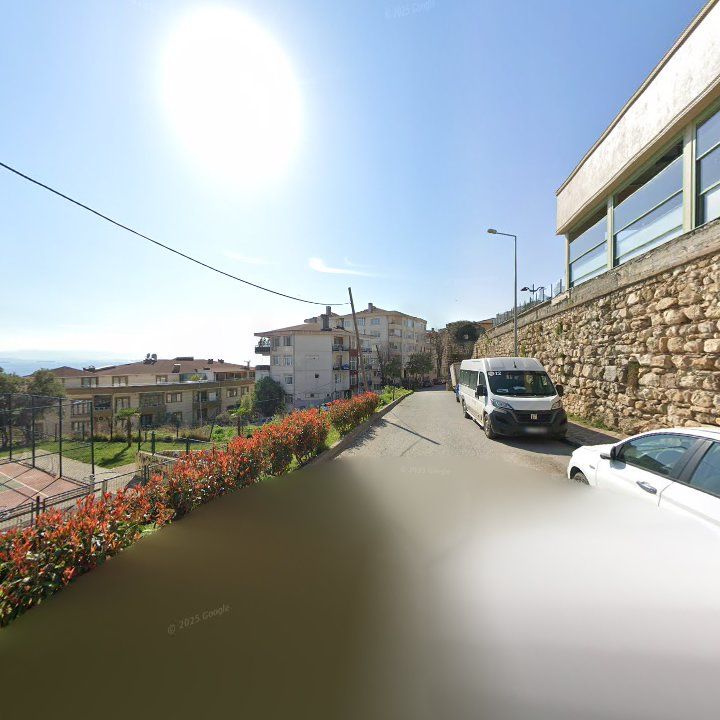 Fotoğraf 8